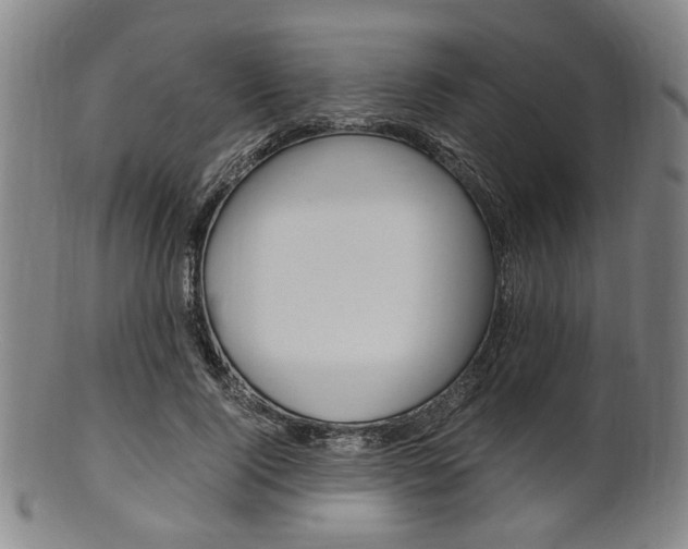 X0000101660740200807101024