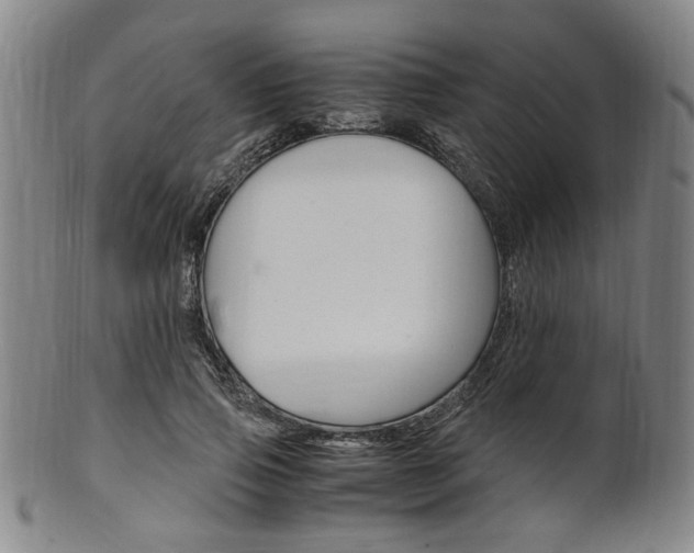 X0000101660741200807101024