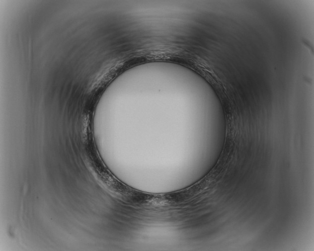 X0000101660742200807101024