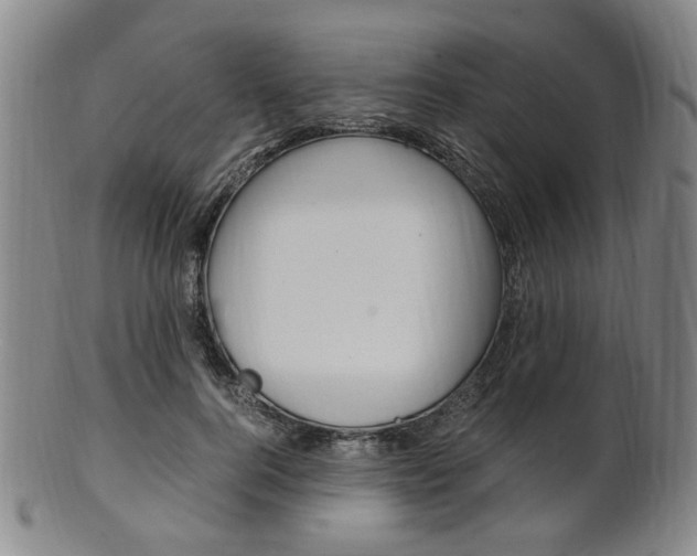 X0000101660744200807101024