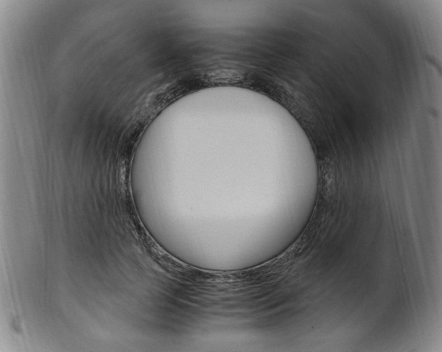 X0000101660745200807101024