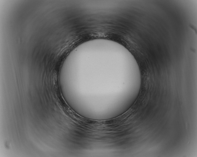X0000101660747200807101024