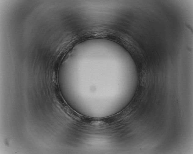 X0000101660748200807101025
