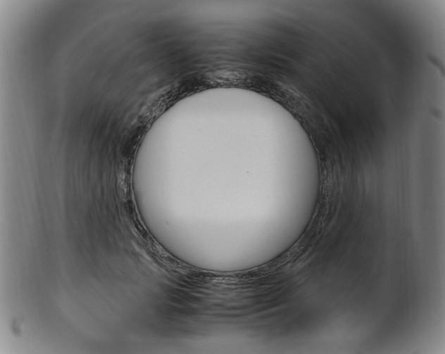X0000101660749200807101025