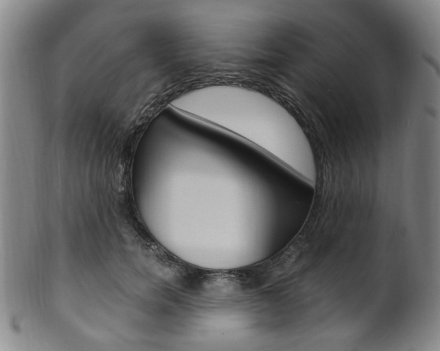 X0000101660750200807101025