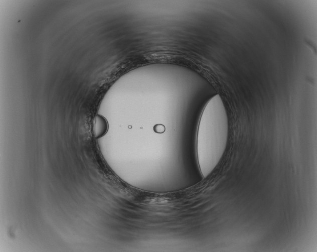X0000101660751200807101025