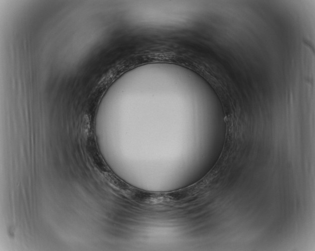 X0000101660752200807101025