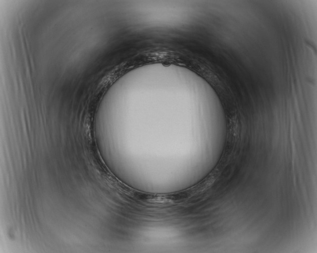 X0000101660754200807101025