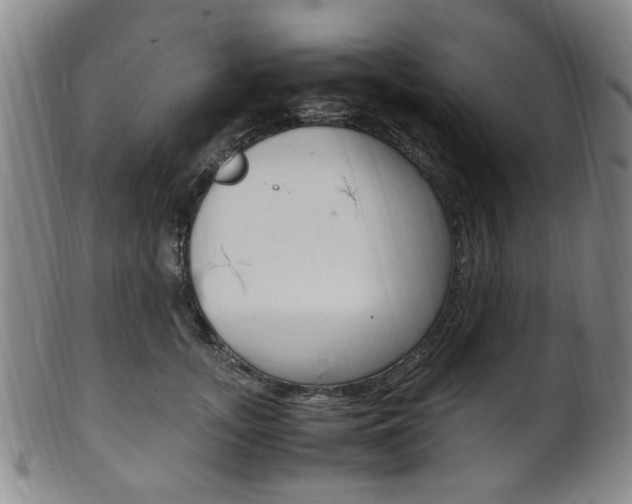 X0000101660755200807101025