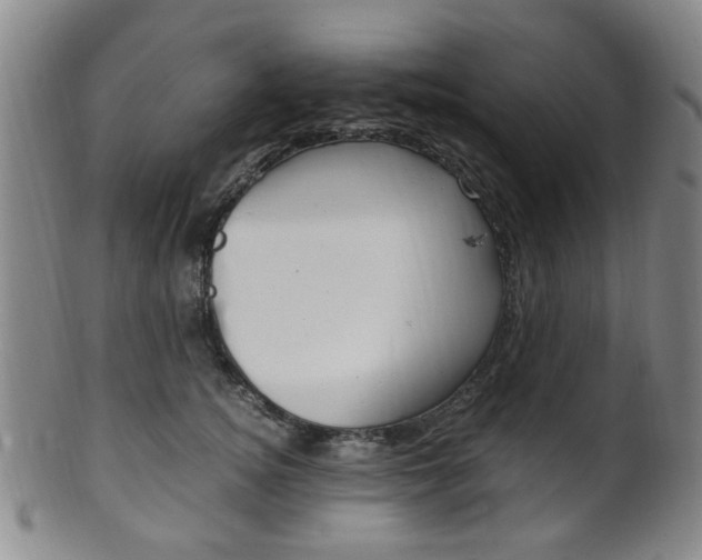 X0000101660756200807101025