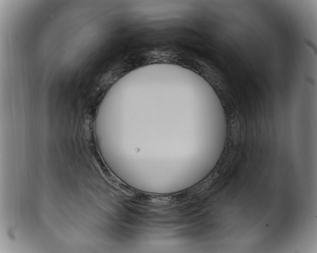 X0000101660757200807101025