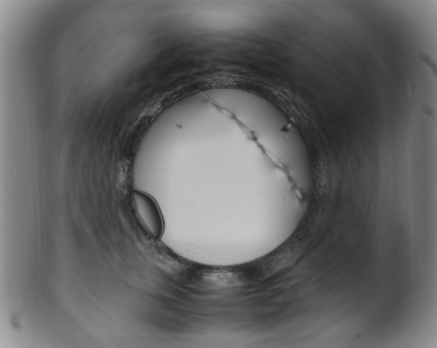 X0000101660759200807101025