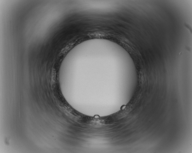 X0000101660760200807101025