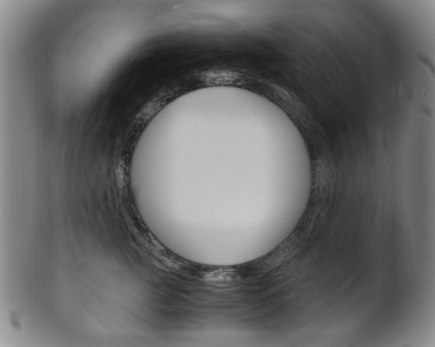 X0000101660761200807101025