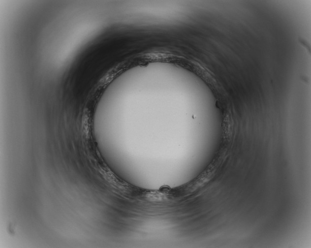 X0000101660762200807101025