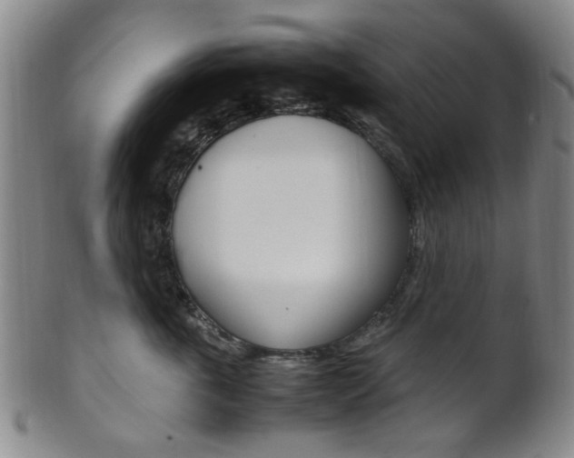X0000101660763200807101025