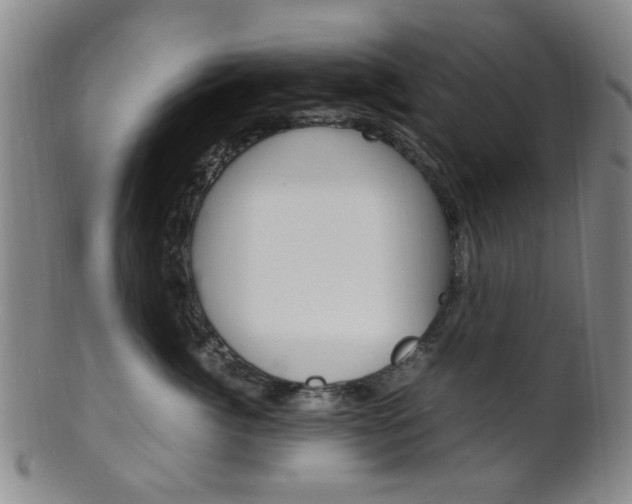 X0000101660764200807101025