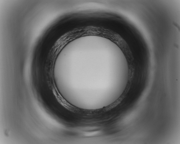 X0000101660765200807101025