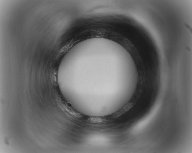 X0000101660766200807101025