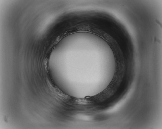 X0000101660767200807101025