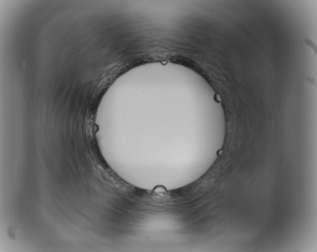 X0000101660768200807101025