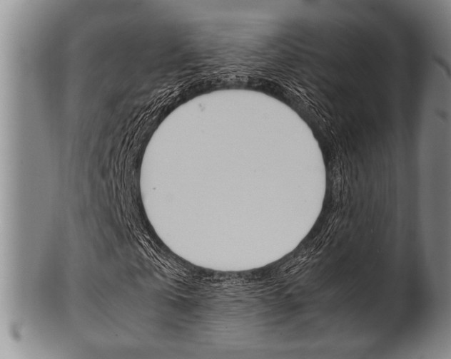 X0000101660769200807101024