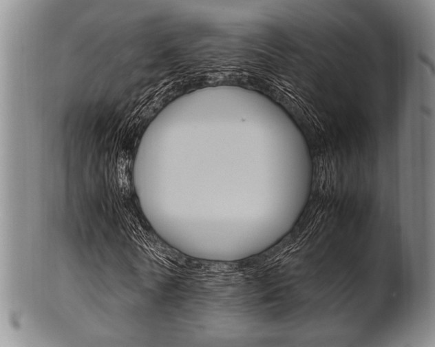 X0000101660770200807101024