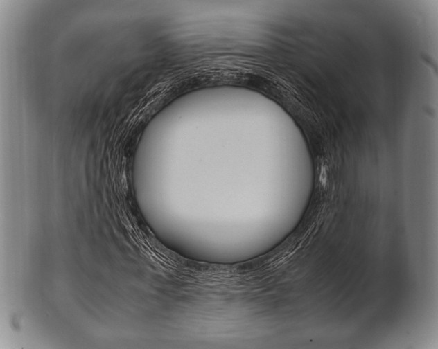 X0000101660771200807101024