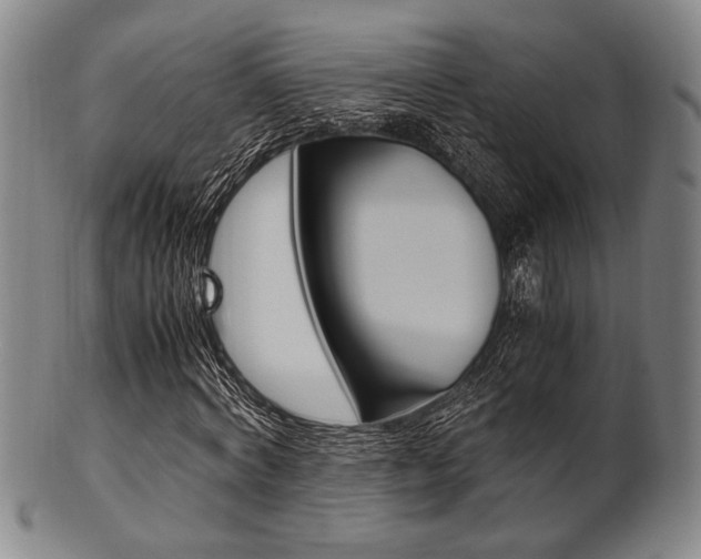 X0000101660772200807101024