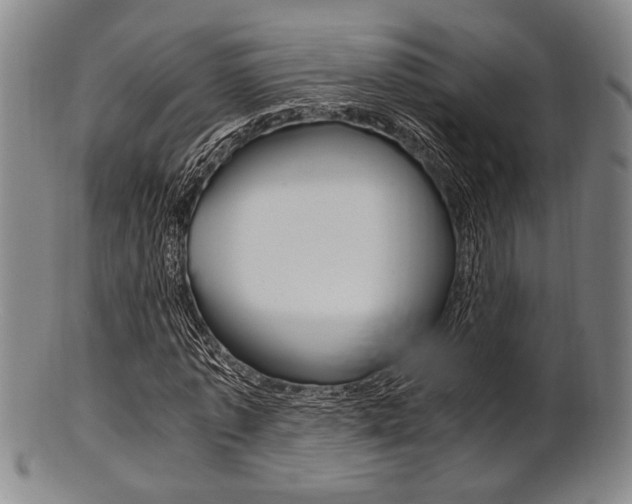 X0000101660773200807101024
