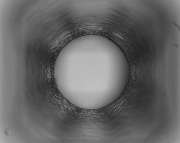 X0000101660774200807101024