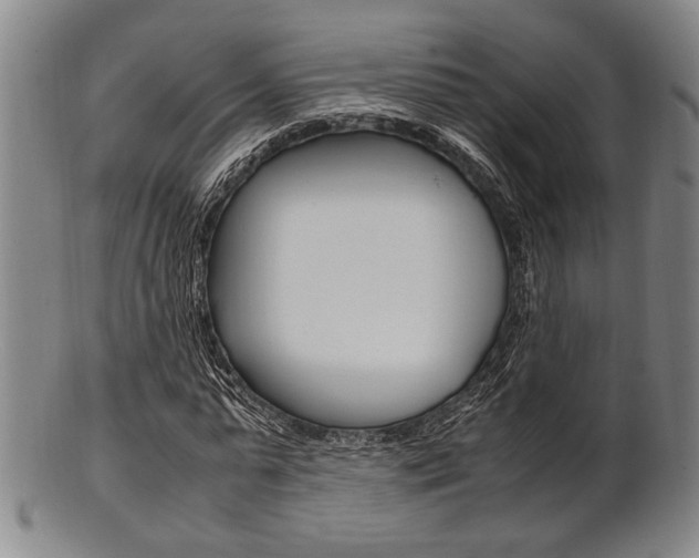 X0000101660775200807101024