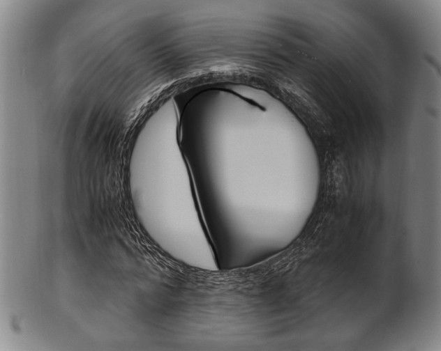 X0000101660776200807101024