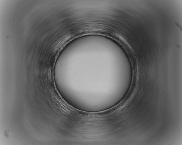 X0000101660777200807101024
