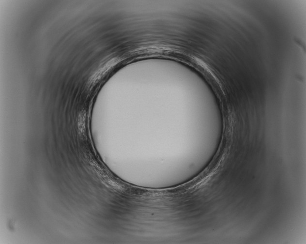 X0000101660778200807101024