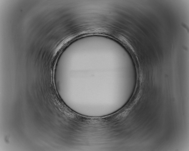 X0000101660781200807101024