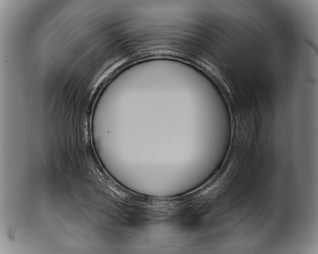 X0000101660782200807101024