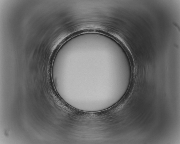 X0000101660783200807101024