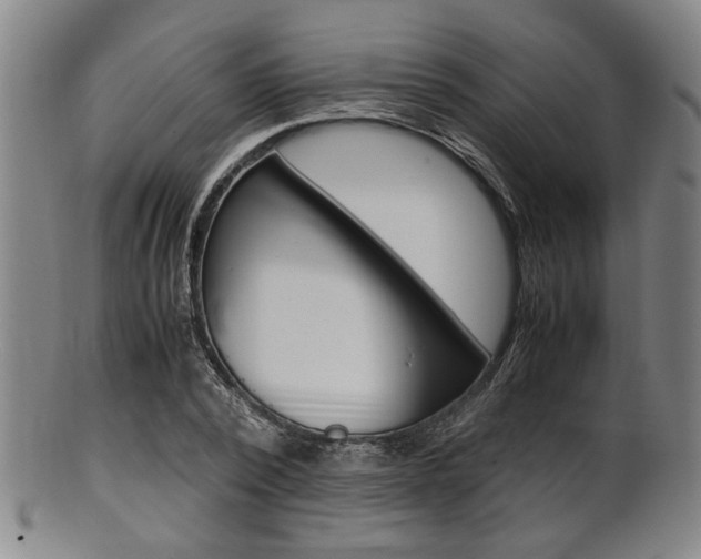 X0000101660784200807101024