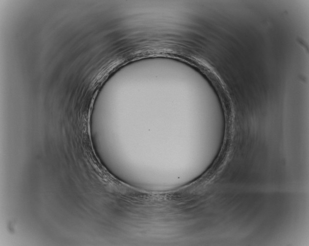 X0000101660785200807101024