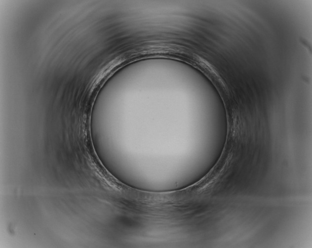 X0000101660786200807101024