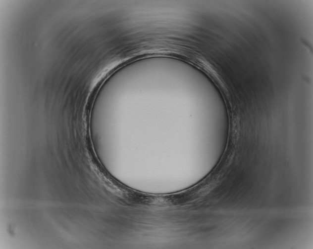 X0000101660787200807101024