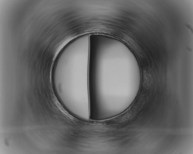 X0000101660788200807101024