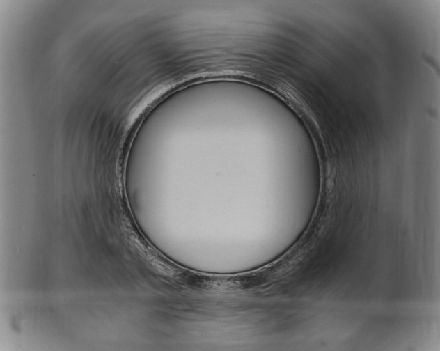 X0000101660789200807101024