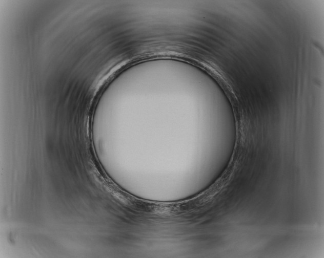 X0000101660790200807101024