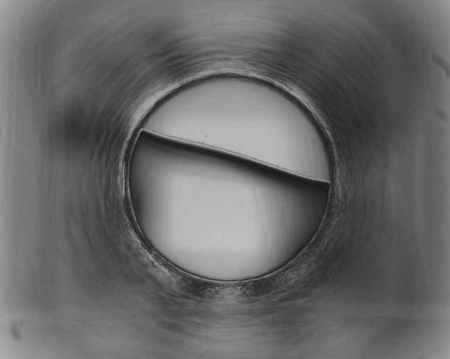 X0000101660791200807101024