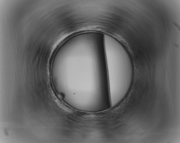 X0000101660792200807101024