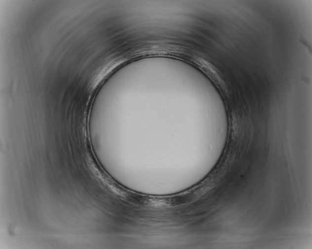 X0000101660794200807101024