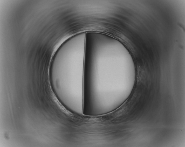 X0000101660796200807101024