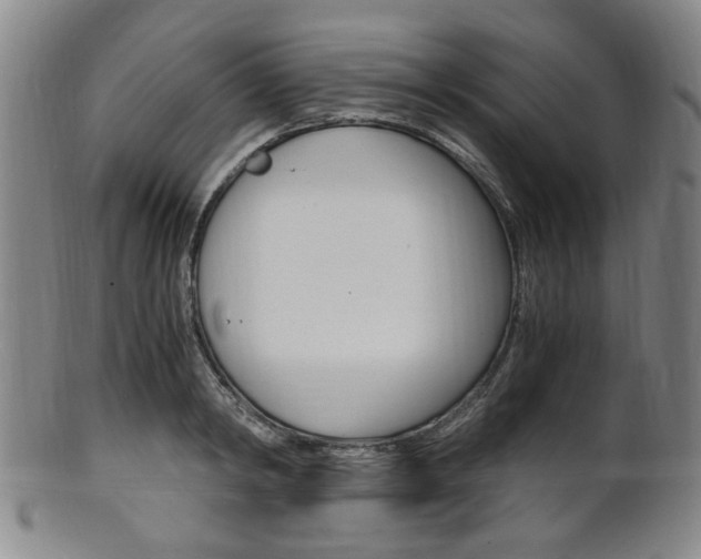 X0000101660798200807101024